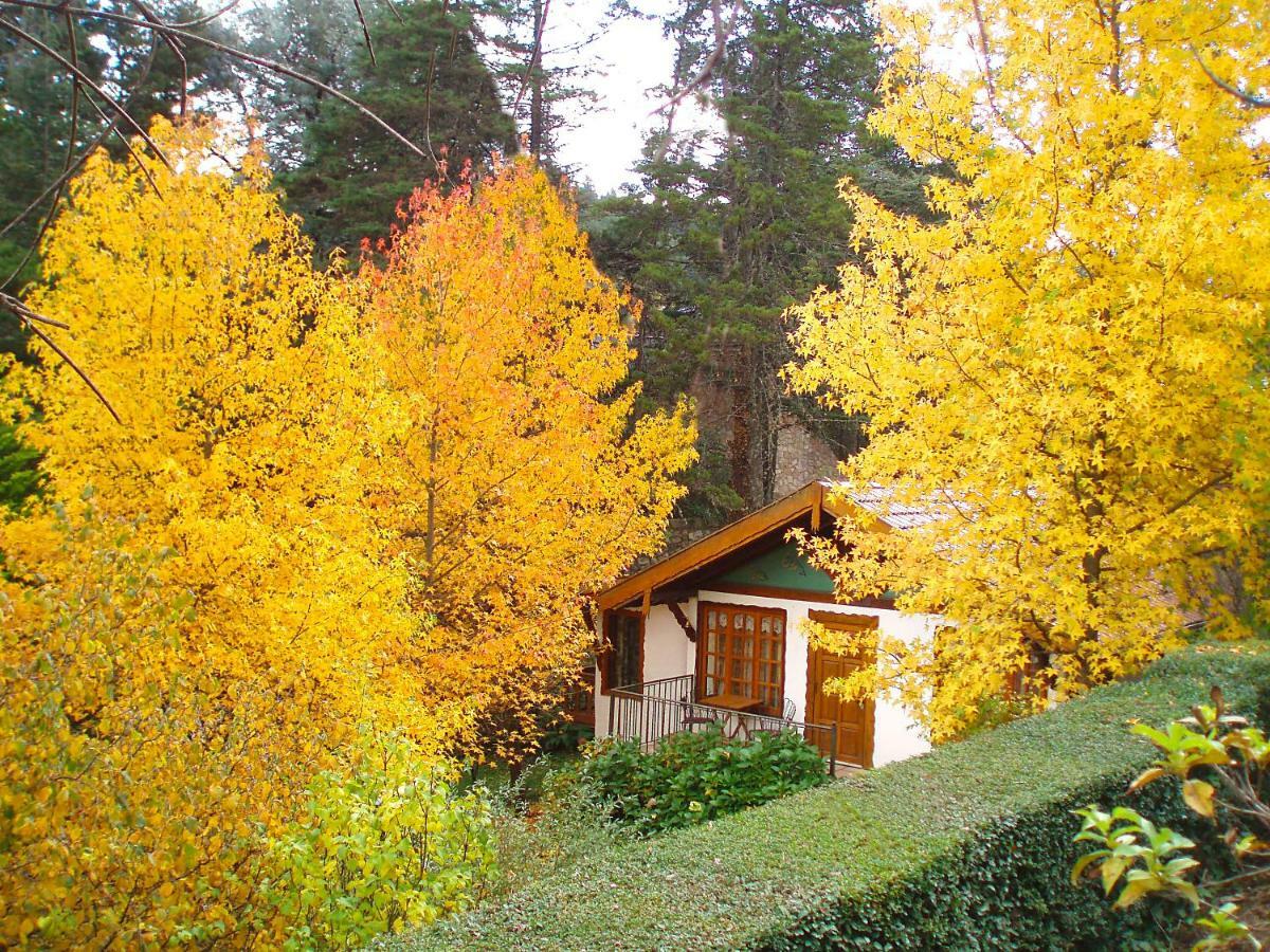 Villa Del Fiume Ла Кумбресита Екстериор снимка